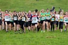 Start of the Senior Womens Race, North-East Harriers League, Cramlington